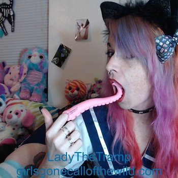 Lady The Tramp wearing a cute uniform while playing with a toy