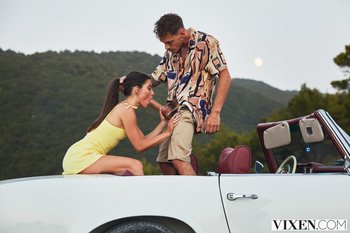 Horny brunette Stefany Kyler provides pleasure with mouth and snatch - 06