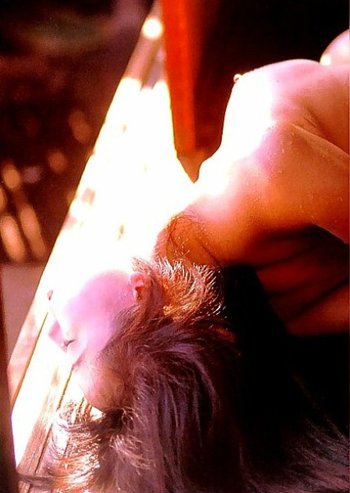 Wasteland-BDSM-Close-Up-Bondage(8)