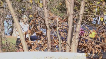 Lucy-Shy-peeing-fetish(1)